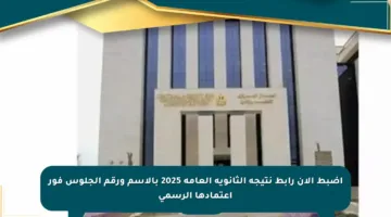 اضبط الآن رابط نتيجة الثانوية العامة 2025 بالاسم ورقم الجلوس فور اعتمادها الرسمي